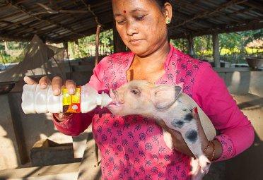 Vil du bli frivillig Nepal-ambassadør? Vil du bli frivillig Nepal-ambassadør?