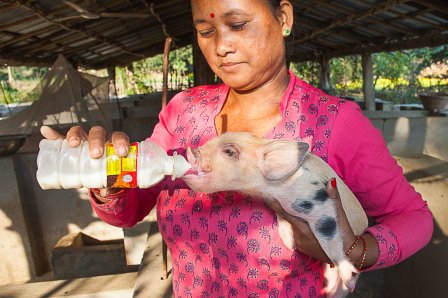 Vil du bli frivillig Nepal-ambassadør? Vil du bli frivillig Nepal-ambassadør?