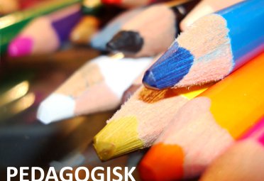 Pedagogisk verktøykasse Pedagogisk verktøykasse