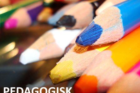 Pedagogisk verktøykasse Pedagogisk verktøykasse