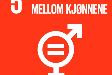 Mål 5 - Likestilling mellom kjønnene Mål 5 - Likestilling mellom kjønnene