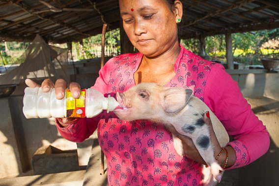 Vil du bli frivillig Nepal-ambassadør? Vil du bli frivillig Nepal-ambassadør?