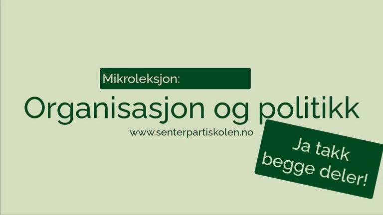 Bilde_organisasjonpolitikk.jpg